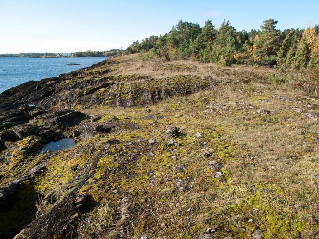 3.4.4 Paradisbukta NR Paradisbukta naturreservat består av en godt skjermet bukt på sørøstsiden av Grimsøya.