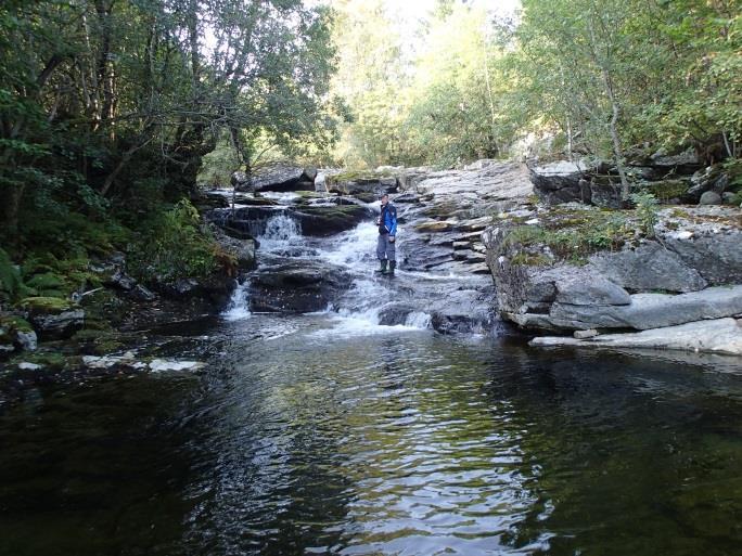 Ved middels til høy vannføring bør dette være greit passerbart, men ved lav vannføring kan det være vanskelig. Vollafossen, ca.