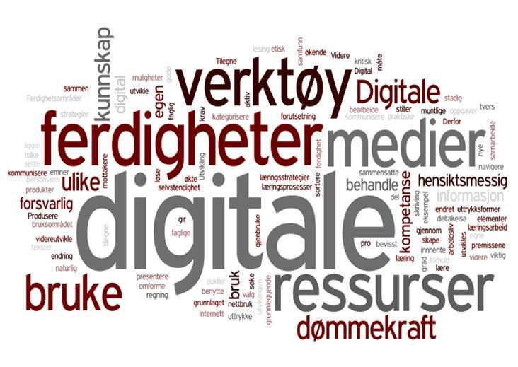 Digitale ferdigheter Kompetanse Norge Samfunnet digitaliseres Påvirker alle områder i samfunnet Grunnleggende dataferdigheter Digitale verktøy og tjenester Informasjonsbehandling Digital dømmekraft