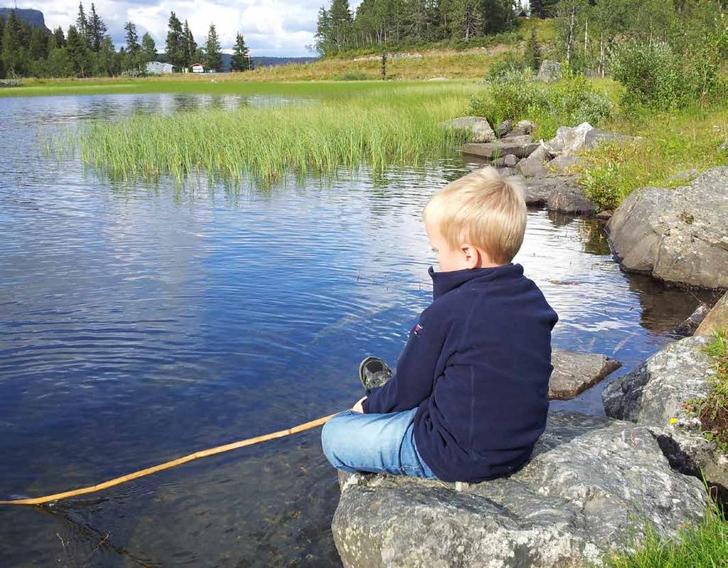 Omgivelsene veksler mellom snaufjell og frodig høyfjellsterreng. Fra toppen av Bjørga eller fjellet Skeikampen kan man se til Jotunheimen og til Mjøsa.