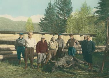 Arbeidslaget i Gjerstadskogene i 1959. Bildet tatt ved saga som sto på Valle.