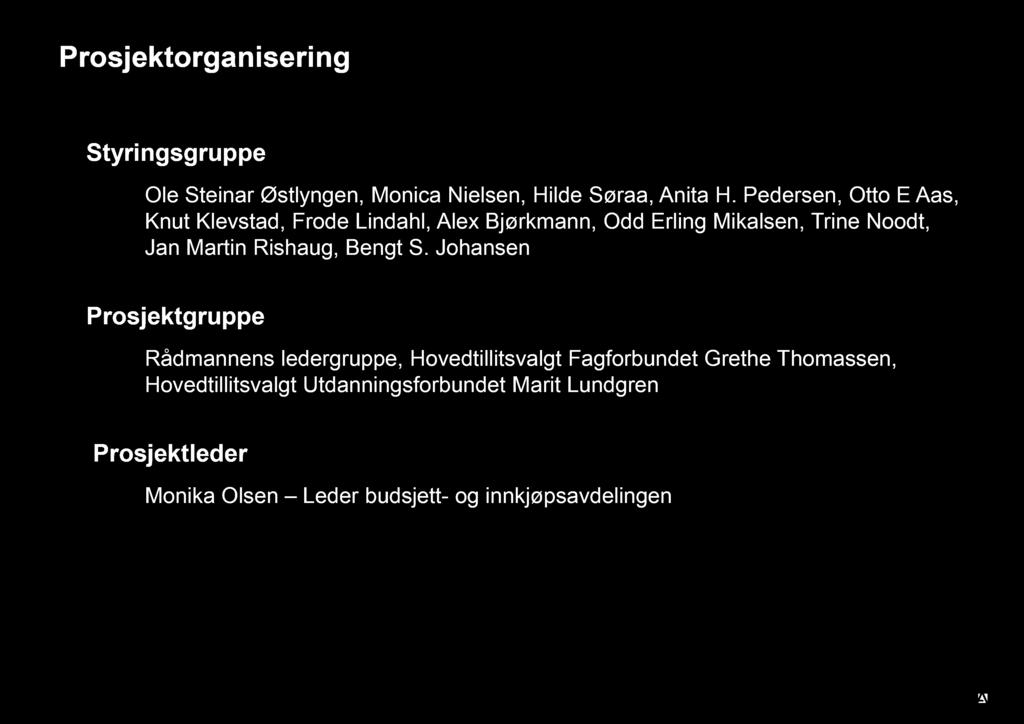 Prosjektorganisering Styringsgruppe Ole Steinar Østlyngen, Monica Nielsen, Hilde Søraa, Anita H.
