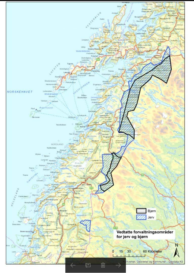 Jerve- og bjørnesonen Nordland - I tillegg sier forvaltningsplanen
