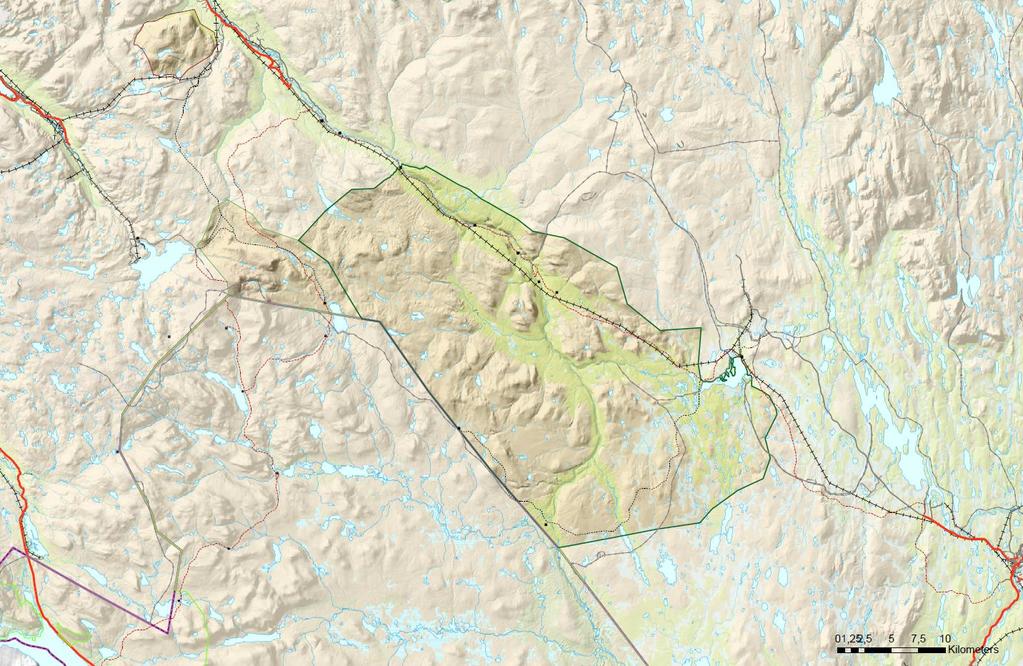 1 Historiske vandreruter i Reisadalen Troms Fylkeskommune har tatt et initiativ om å fremme vandreruta som går fra Saraelv til Ráisjavri/Reisavann,Nordreisa kommune, innenfor den nye ordningen