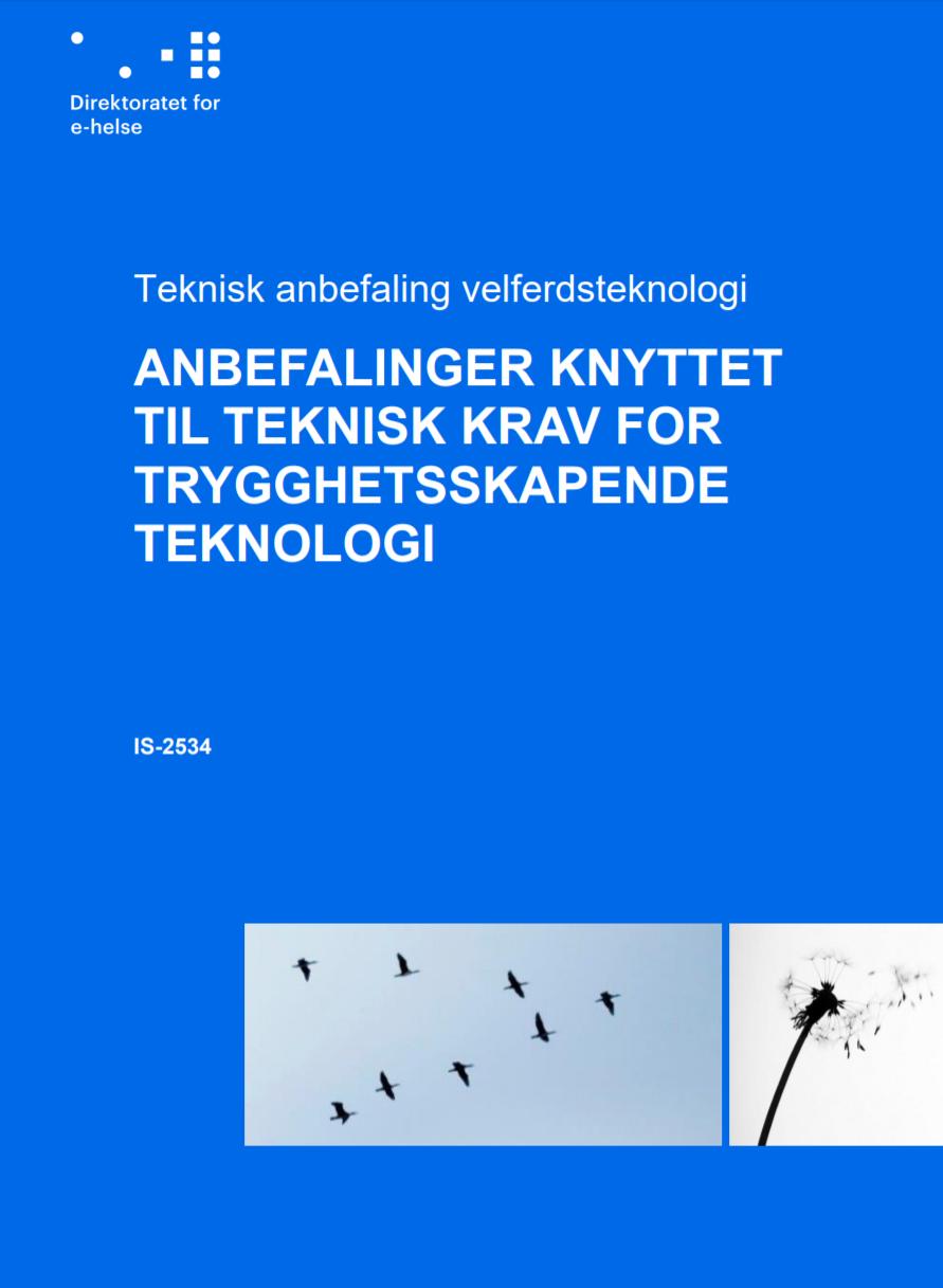 standarder/rammeverk for