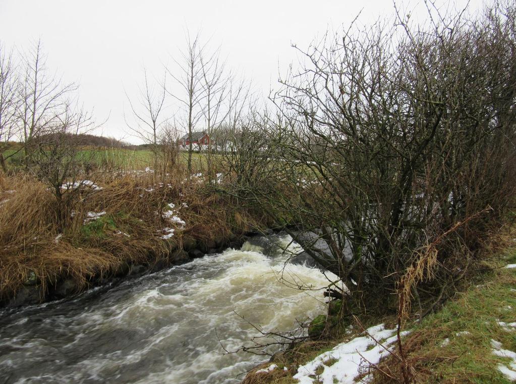 Kantsonens funksjon i naturlige elver/bekker Estetisk landskapselement Renseeffekt