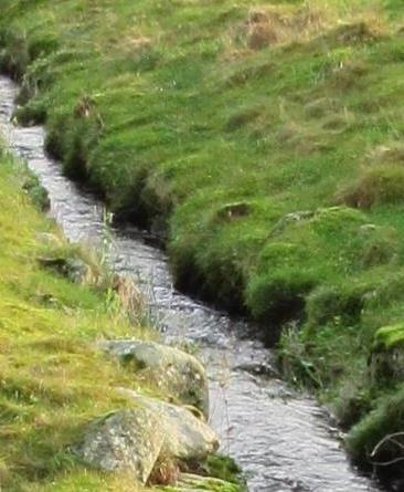 høyere biodiversitet, både på land og i