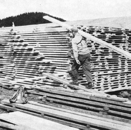 Vi har i mer enn 70 år drevet sagbruk og høvleri der det er kort vei til både skog og marked.