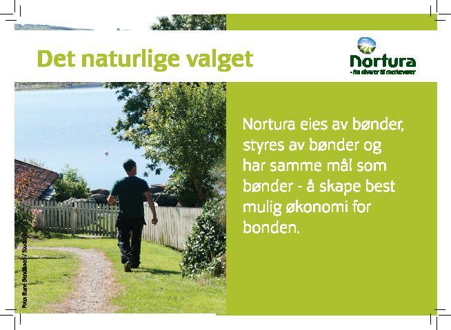 19 Troms Bondelag har satt ned en referansegruppe grønt for å sette mer fokus på grønt og bærproduksjon i fylket.