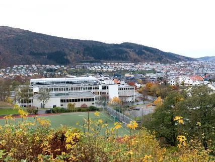 Byrådsavdeling for helse og omsorgs ansvar i