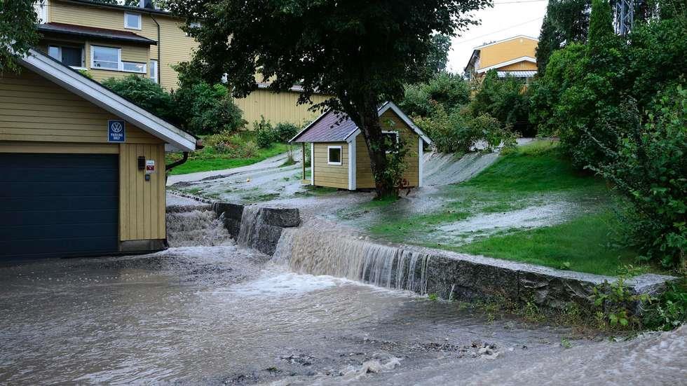 1. Oversikt over relevant regelverk med krav