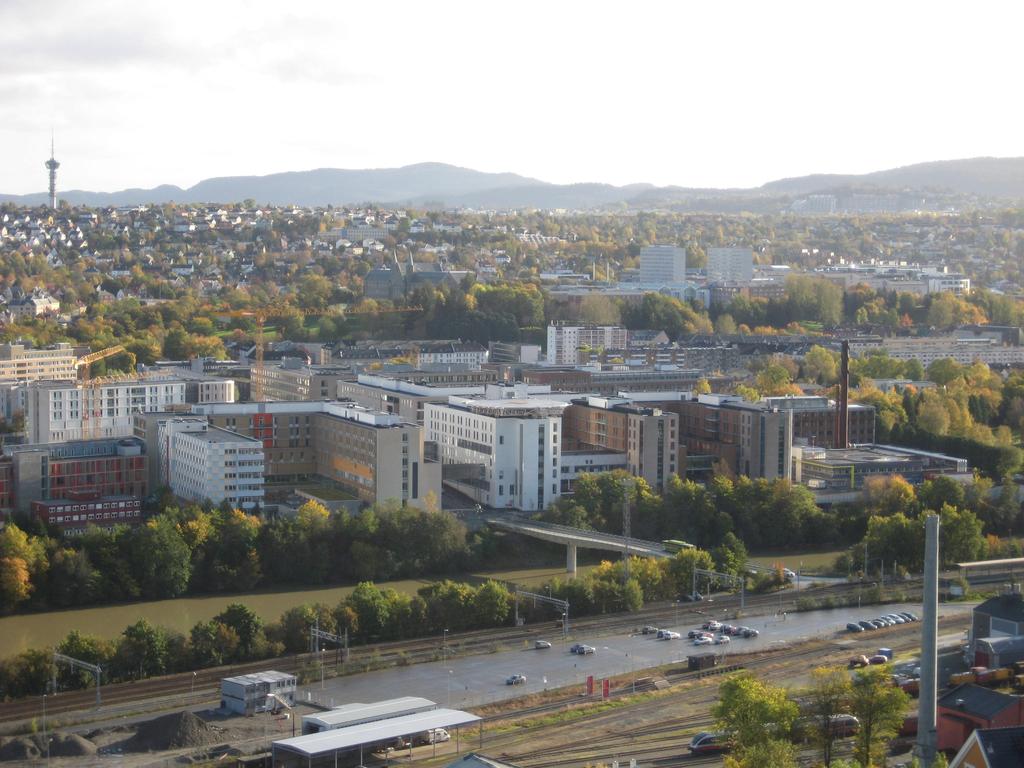 Hva er biologisk alder? Trening for prestasjon, helse og livskvalitet Øyvind Ellingsen NTNU / St.