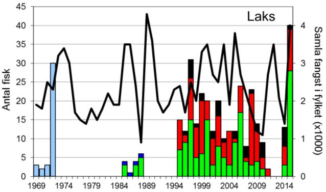 Skjel 2015 FANGST OG SKJELPRØVAR I MODALSELVA Fangststatistikk Det vart ikkje registrert fangst av sjøaure i åra 1976-84 (figur 1, stolpar).