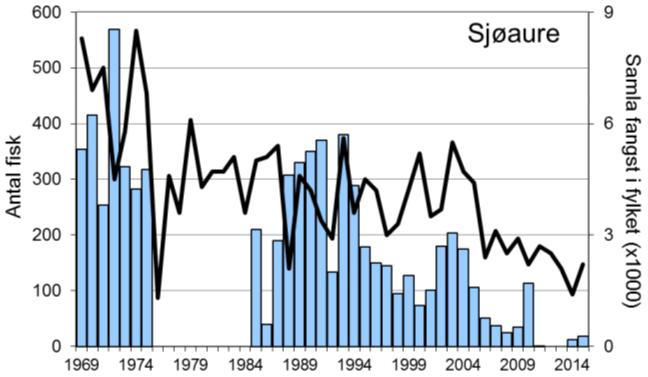 I perioden 1985-2011 var snittfangsten 163 per år, men fangstane avtok vesentleg frå midt på 1990-talet og utover.