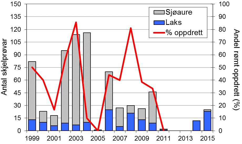 I perioden 1969-1994 har det berre vore rapportert sporadiske fangstar av laks. I åra 1995-2011 vart det i snitt fanga 15 laks per år, før elva vart stengt for fiske i 2012 og 2013.