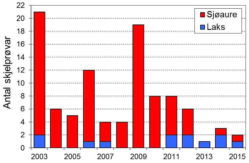 Romarheimselva er ikkje rekna å ha ein eigen laksebestand. FIGUR 1. Fangst av laks og sjøaure i Romarheimselva i perioden 2003-15 (stolpar).