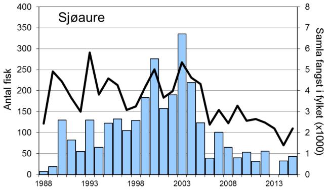Det vart fanga 43 sjøaure (snittvekt 1,0 kg), eit av dei svakaste resultata som er registrert.