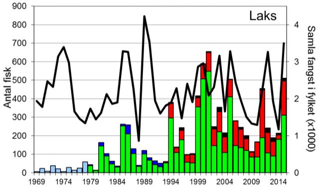 Skjel 2015 Fangststatistikk FANGST OG SKJELPRØVAR I OSELVA Gjennomsnittleg fangst av laks i perioden 1969-2015 er 176 (snittvekt 2,5 kg).