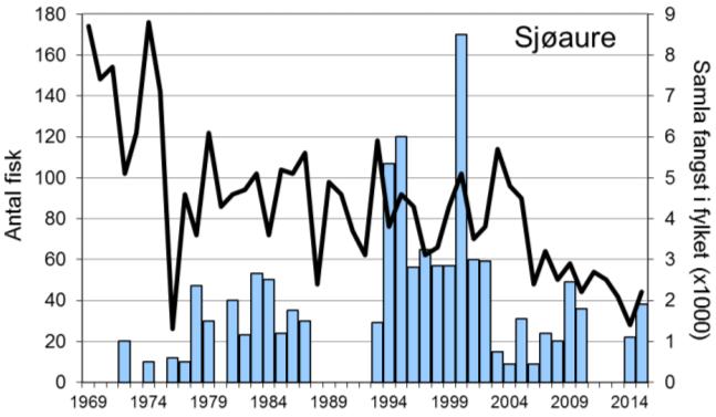 I 2015 vart det fanga til saman 34 laks, 20 av desse vart sett ut att. Fangsten av sjøaure har variert mellom 9 og 170, med eit snitt på 44 per år.
