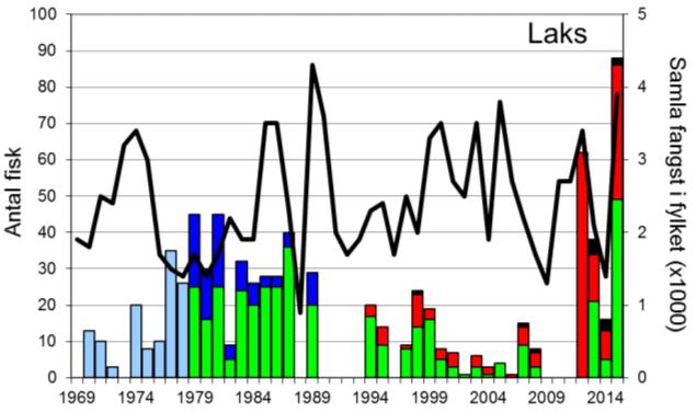 Skjell 2015 FANGST OG SKJELPRØVAR I OMVIKELVA Fangststatistikk I perioden 1969-1989 vart det i gjennomsnitt fanga 24 laks og 98 sjøaure per år (figur 1, stolpar).