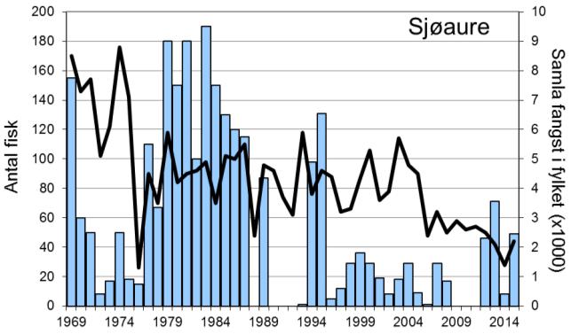 I 2012 vart elva opna att for fiske, og det vart registrert ein fangst på 62 laks og 46 sjøaure. Etter to år med lågare fangstar, vart det i 2015 fanga 88 laks (snittvekt 1,4 kg).
