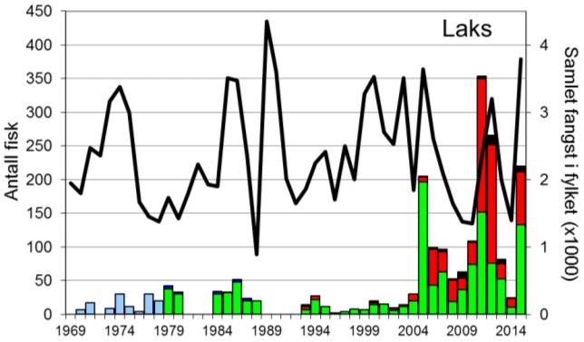 Skjel 2015 FANGST OG SKJELPRØVAR I USKEDALSELVA Fangststatistikk I perioden 1969-2004 vart det i gjennomsnitt fanga 20 laks per år (figur 1, stolpar).