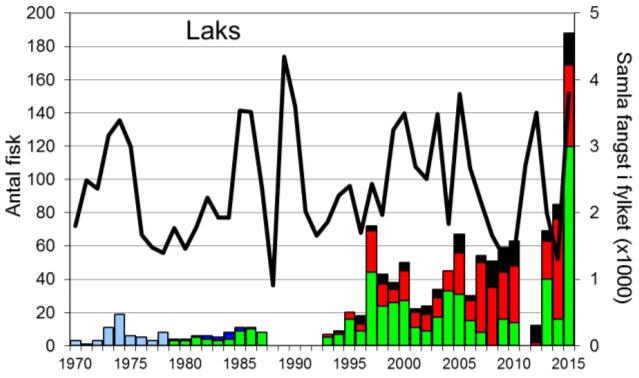 Skjel 2015 FANGST OG SKJELPRØVAR I FJÆRAELVA Fangststatistikk I perioden 1970-2015 vart det i gjennomsnitt fanga 18 sjøaure per år (figur 1, stolpar).