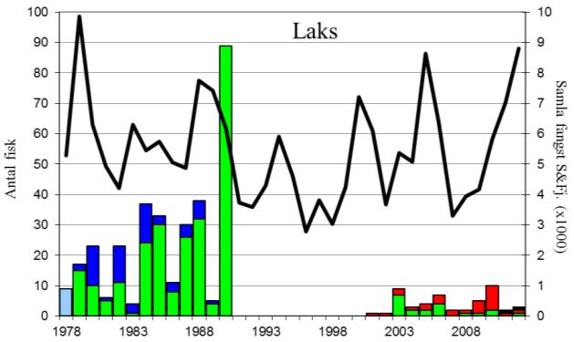 FANGST OG SKJELPRØVAR I VETLEFJORDELVA Det ligg føre fangststatistikk for åra 1978-2012. I denne perioden var gjennomsnittleg årsfangst 82 sjøaure (snittvekt 1,3 kg) og 15 laks (snittvekt 3,5 kg).
