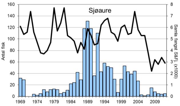 registrert i Sogndalselva (figur 1, stolpar). Sjøaurefangstane har vore låge dei siste 8 åra, i 2012 vart det berre fanga 5 sjøaure.