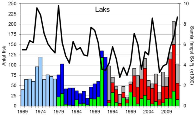 FANGST OG SKJELPRØVAR I ÅRØYELVA I perioden 1969-2012 var gjennomsnittleg årsfangst 72 laks (snittvekt 6,7 kg) og 65 sjøaurar (snittvekt 1,1 kg).