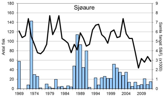 FANGST OG SKJELPRØVAR I VIKJA I perioden 1969-2012 var gjennomsnittleg årsfangst 191 laks (snittvekt 3,8 kg) og 28 sjøaurar (snittvekt 1,8 kg).