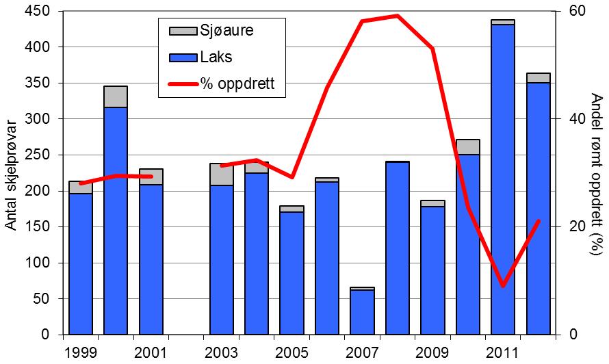 Laksefangstane i Vikja har i grove trekk variert nokolunde som i resten av fylket, men med klare avvik enkelte år (figur 1, linje).