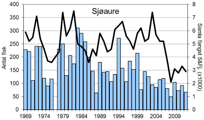 Fangsten av sjøaure, derimot, var mellom det lågaste som er registrert (67 fisk, snittvekt 3 kg).