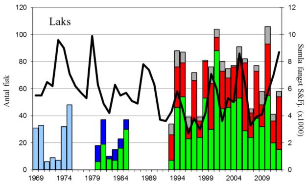FANGST OG SKJELPRØVAR I HOPSELVA I HYEN I perioden 1969-2012 var gjennomsnittleg årsfangst 52 laks (snittvekt 3,8 kg), i 2012 vart det fanga 58 laks (snittvekt 4,3 kg; figur 1, stolpar).