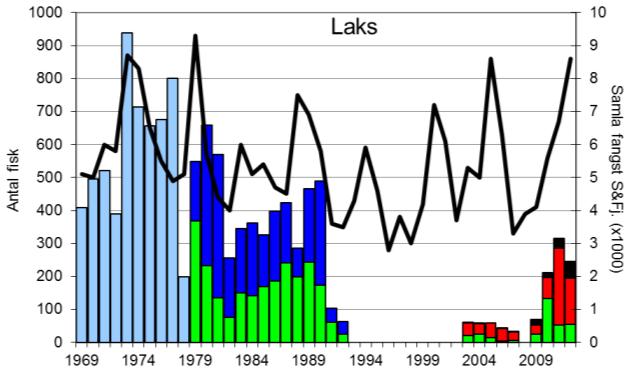 FANGST OG SKJELPRØVAR I JØLSTRA I perioden 1969-1992 var gjennomsnittleg årsfangst 462 laks med snittvekt på 4,8 kg, og 387 sjøaurar med snittvekt på 1,3 kg.