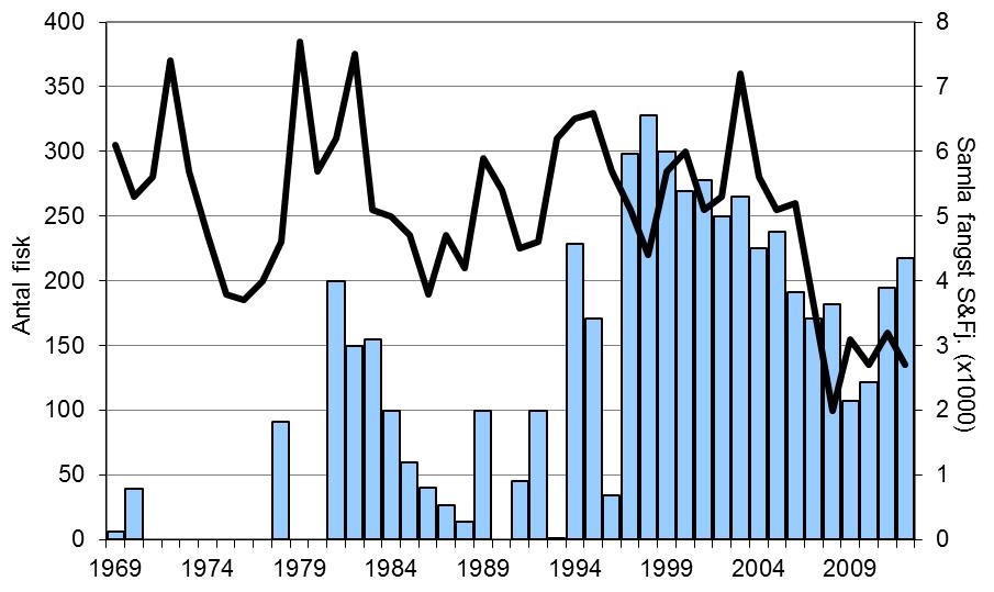 FANGST OG SKJELPRØVAR I JOSTEDØLA I perioden 1969-2012 var gjennomsnittleg årsfangst 153 sjøaurar (snittvekt 1,7 kg) og 6 laks (snittvekt 5,5 kg).