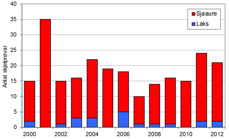 I 2012 vart det fanga 218 sjøaure (snittvekt på 1,2 kg), som er det beste resultatet sidan 2005. Til saman 26 av sjøaurane (12 %) vart sett ut att i elva.