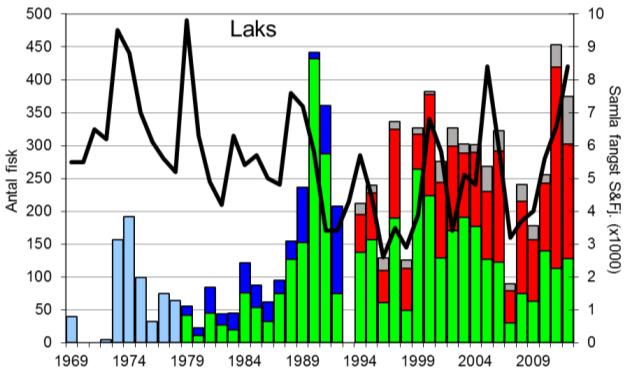 FANGST OG SKJELPRØVAR I VIKJA I perioden 1969-2012 var gjennomsnittleg årsfangst 191 laks (snittvekt 3,8 kg) og 28 sjøaurar (snittvekt 1,8 kg).