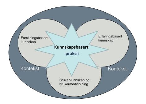 Kunnskapsbasert praksis?