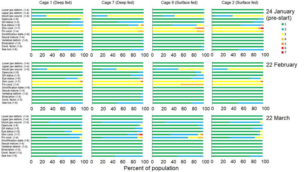 Fig. 6. Velferds-score (SWIM, Stien et al. 2013) på fisk undersøkt ved uttak. Figuren viser hvor stor andel av fisken som hadde de ulike scorene for hver velferdsindikator.