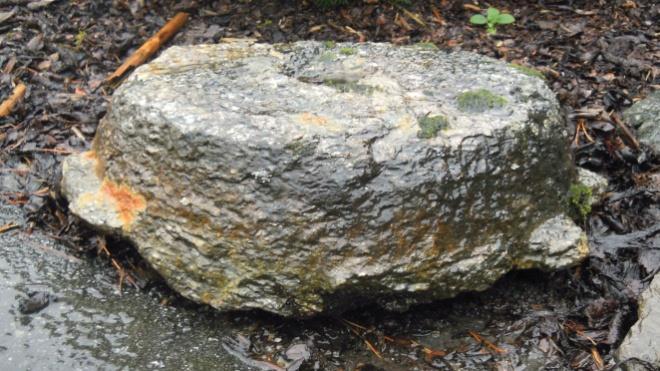 For kvernstein som er hoggen i fast fjell, ser det ut til å vere eit kjenneteikn at sidekanten på steinen har skrånande hellingsvinkel. Dette gjeld både for hand- og vasskvernsteinar.