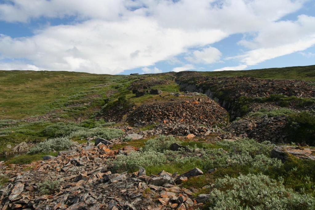 Kvernsteinshogging fra blokk Å hogge kvernstein frå blokk har i varierande grad foregått i alle dei 5 største kvernsteinskommunane i Norge.