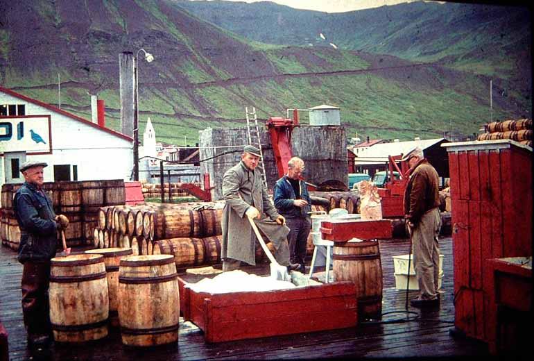 Minja og myndasýning Þorbjarnar hf. Síldarslagur á Siglufirði og í Grindavík.