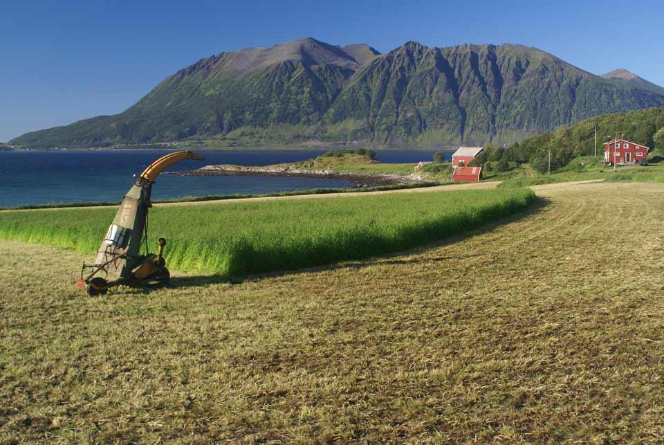 - Austlandets dal og fjellbygder - Sørlandet -