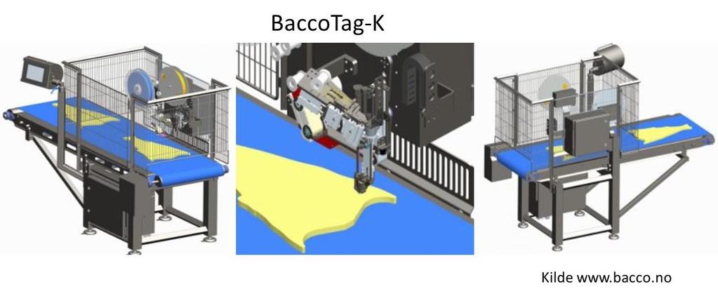 Figur 16 Illustrasjoner av Baccotag-K (Kilde: Bacco AS) Figur 17 Bilde av ferdig merket klippfisk med Baccotag-K (Kilde: Bacco AS) For bedrifter som ønsker å dokumentere/profilere merke eller sin