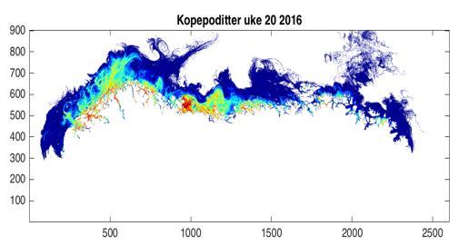 Tiltak i forvaltningen 6-700