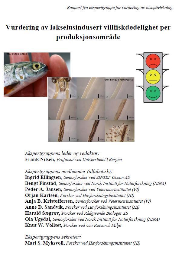 m.fl. Modell 1 HI Modell 2 VI Modell 3 SINTEF Modell x Datasett 2 Smoltbur