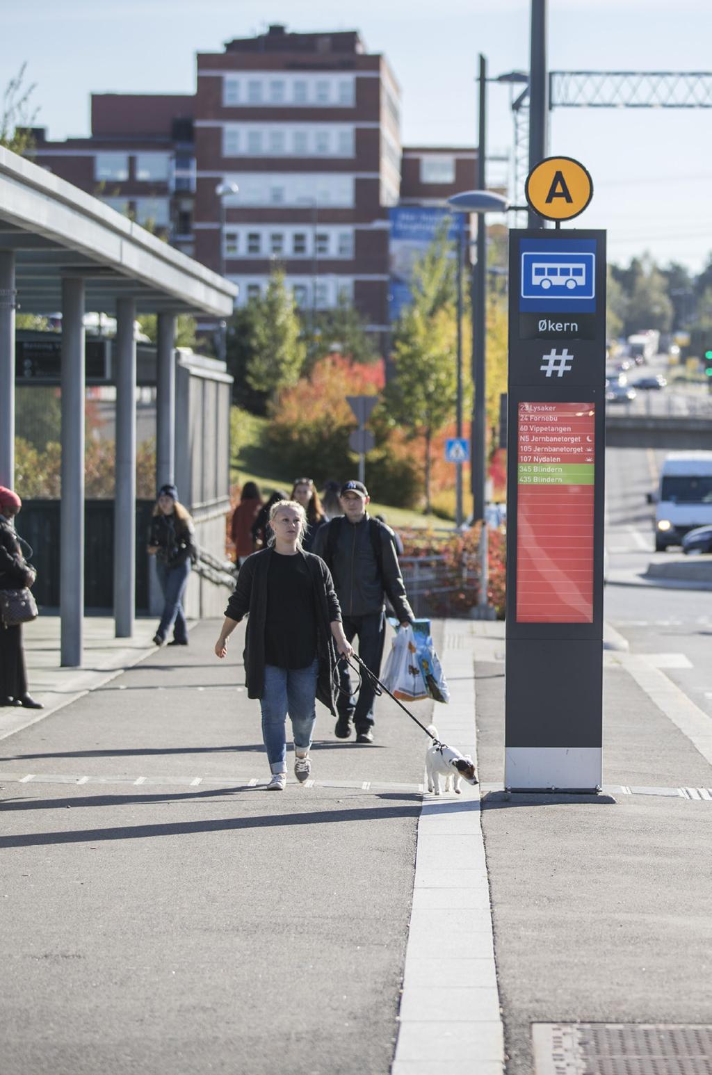 6 Innledning analyse av hvert enkelt av de viktige knutepunktene (knutepunktros). I både trinn 1 og 2 skal aktuelle tiltak beskrives i en oppfølgingsplan.