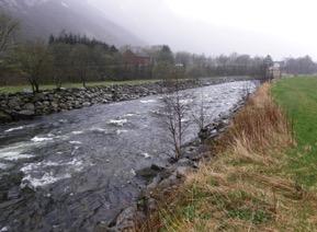 . OG MANGLENDE KANTVEGETASJON NATURLIG OG GOD VEGETASJON VED BJØRABEKKEN OG VED DUESKOGBEKKEN (FRØYLANDSBEKKEN) Kantvegetasjon langs vassdrag har stor betydning for natur og miljø.