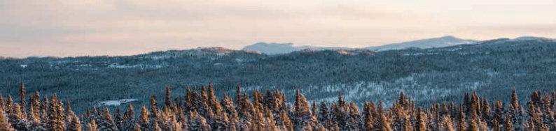 storbodmedegeninnganghvordufårgod plass til smørebod og skiutstyret.